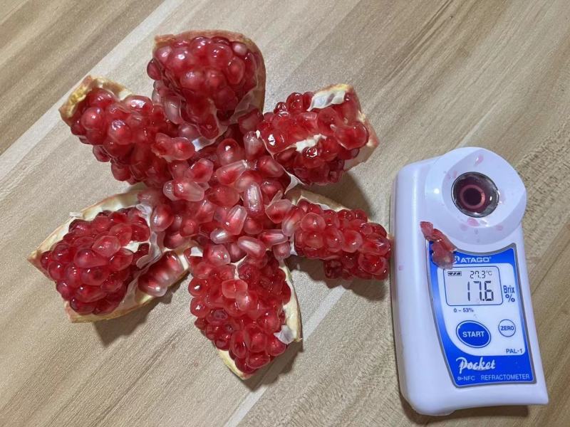 突尼斯软籽石榴