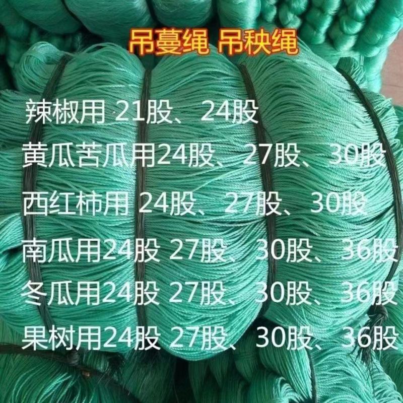 大棚蔬菜黄瓜西红柿辣椒吊绳吊蔓绳吊秧绳熟料塑料绳子抗氧化