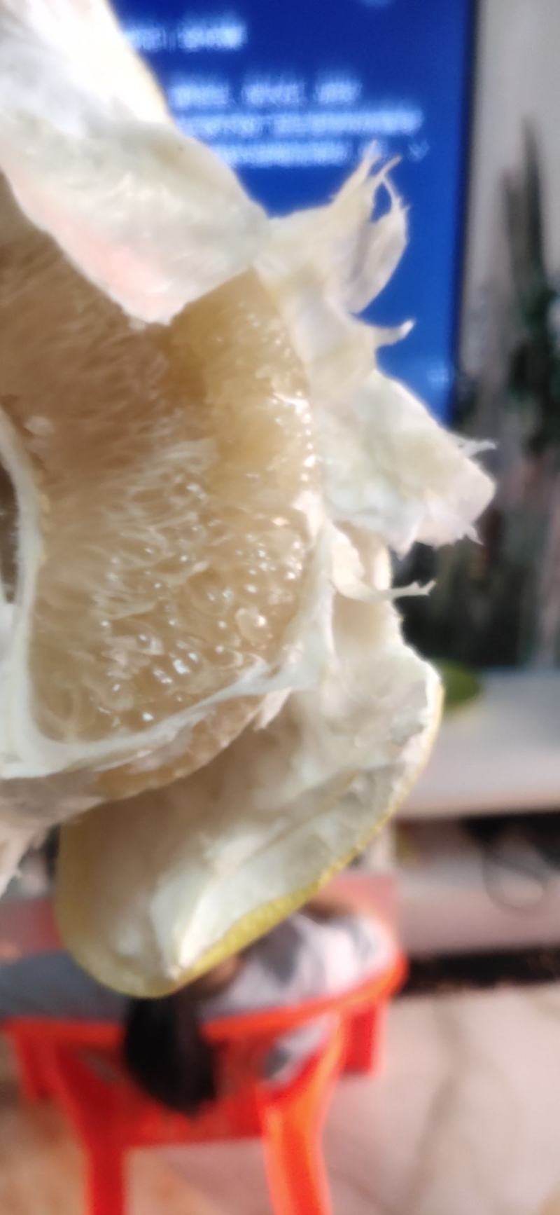 琯溪蜜柚白柚