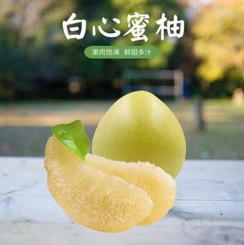 琯溪蜜柚白柚