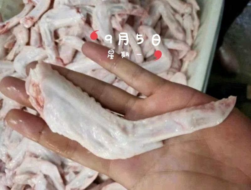 鸭翅小鸭翅白条鸭翅厂家直发20公斤每件