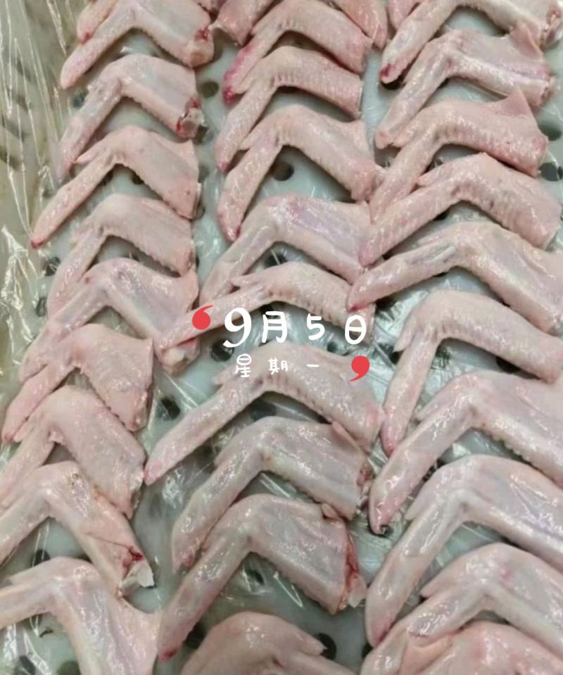 鸭翅小鸭翅白条鸭翅厂家直发20公斤每件