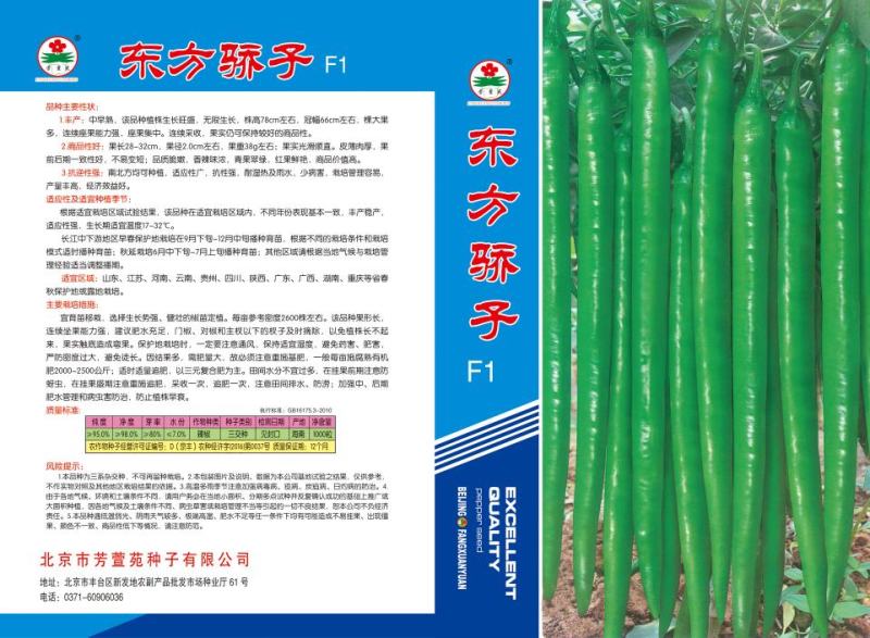 【8号辣椒种子】薄皮线椒种子长40公分产量高