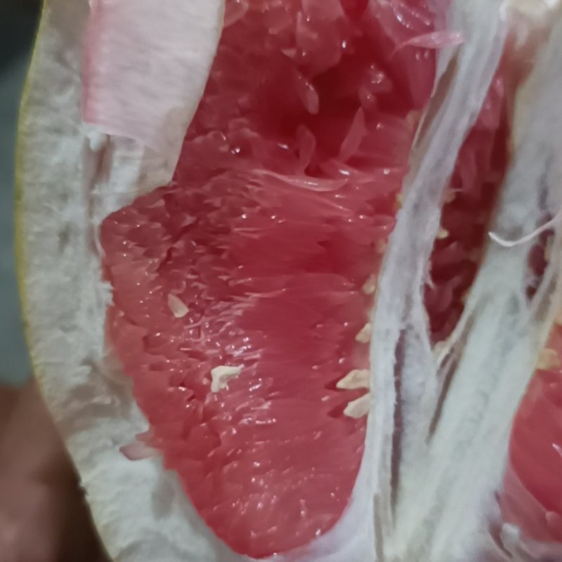 市场疫情封锁，仓库未加工红柚低价出售
