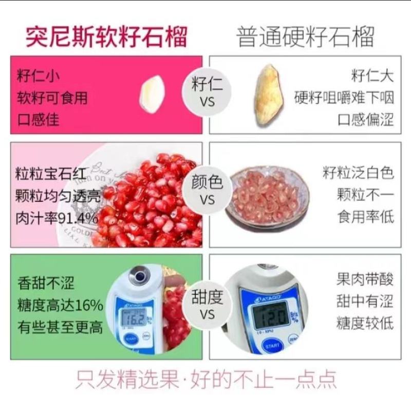 突尼斯软籽石榴