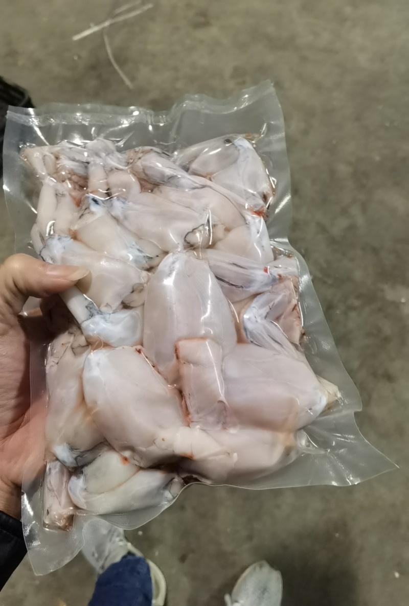 牛蛙系列
