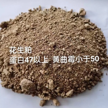 花生粕