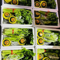 蔬菜套餐蔬菜礼盒社区保供保质保量可定制社区微商