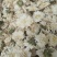 菊花七月菊黄山贡菊批发菊花质量保证量大从优