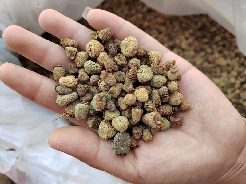 覆盆子，纯干无硫，颜色漂亮，质量保证，大货批发