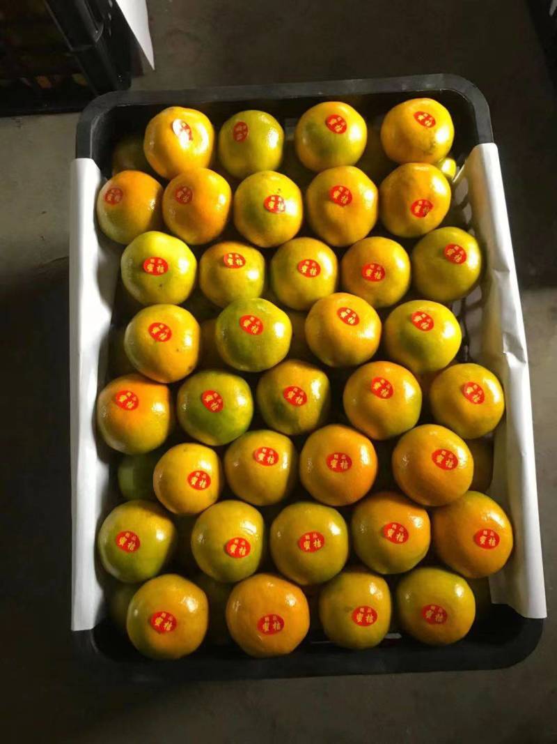 【牛商商家】湖南蜜橘，产地发货中，量大从优，欢迎选购