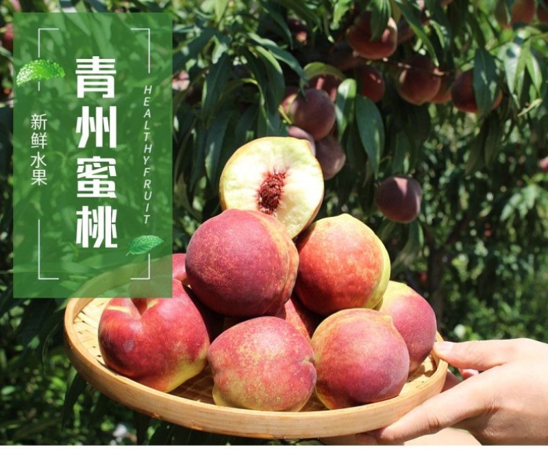 临朐蜜桃青州蜜桃各个规格嵩山蜜桃电商代办5斤装