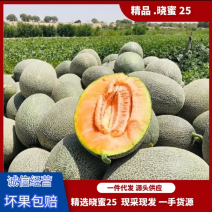 海南晓蜜25哈密瓜西州蜜一件代发供应链全平台供应