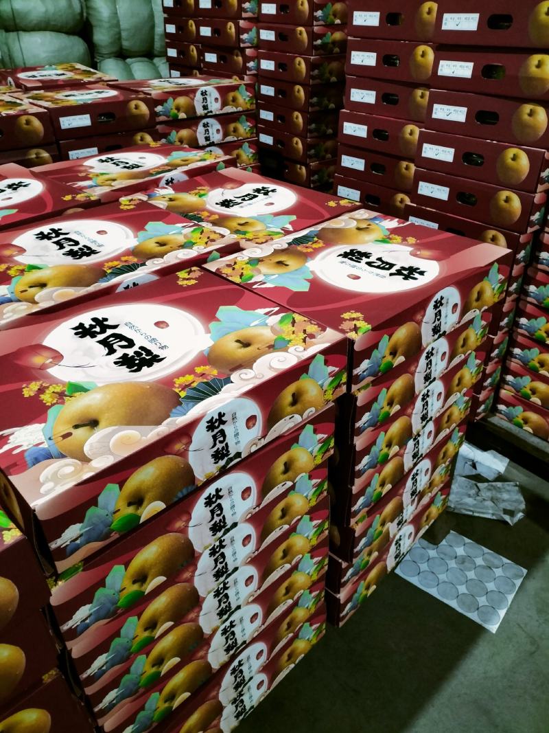 秋月梨鲜果，纸袋，果面干净，汁多甘甜，含糖量高，