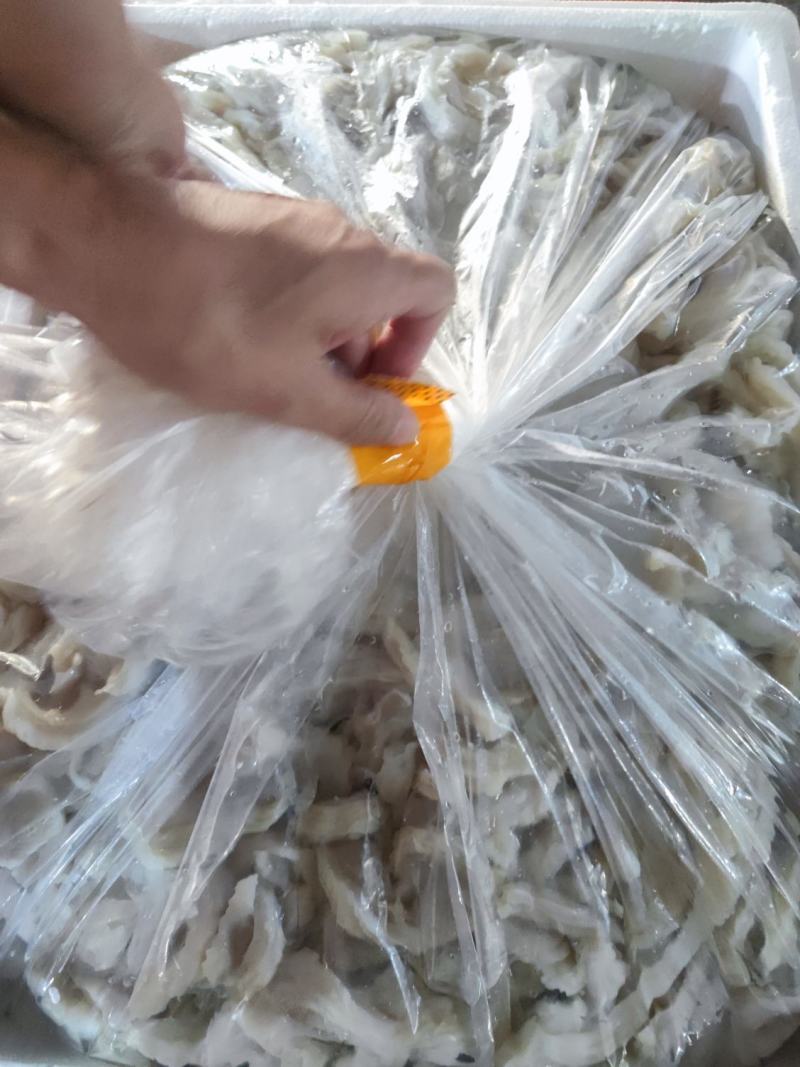鱼肚