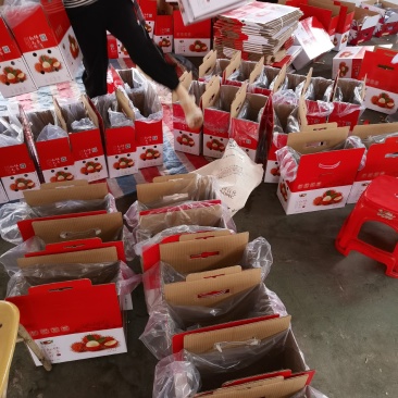 海南特产红毛丹，产地直销，批发，商超，一件代发可对接。