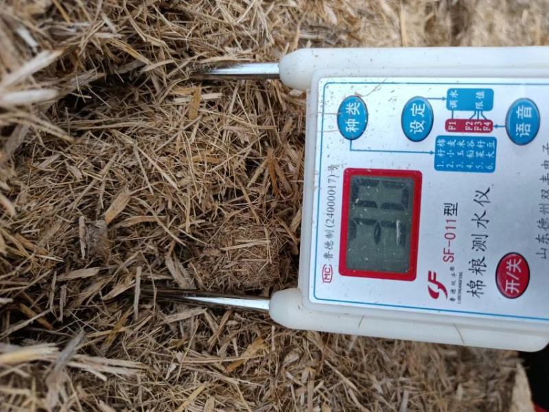 40以下的水份粗甘蔗渣
