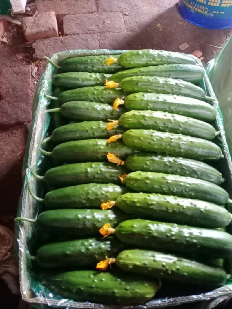 各种蔬菜，豆类，叶菜