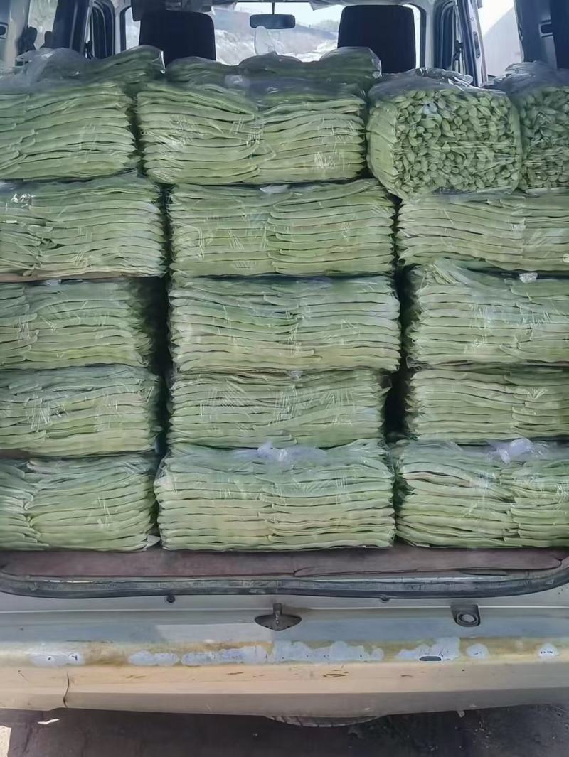 各种蔬菜，豆类，叶菜
