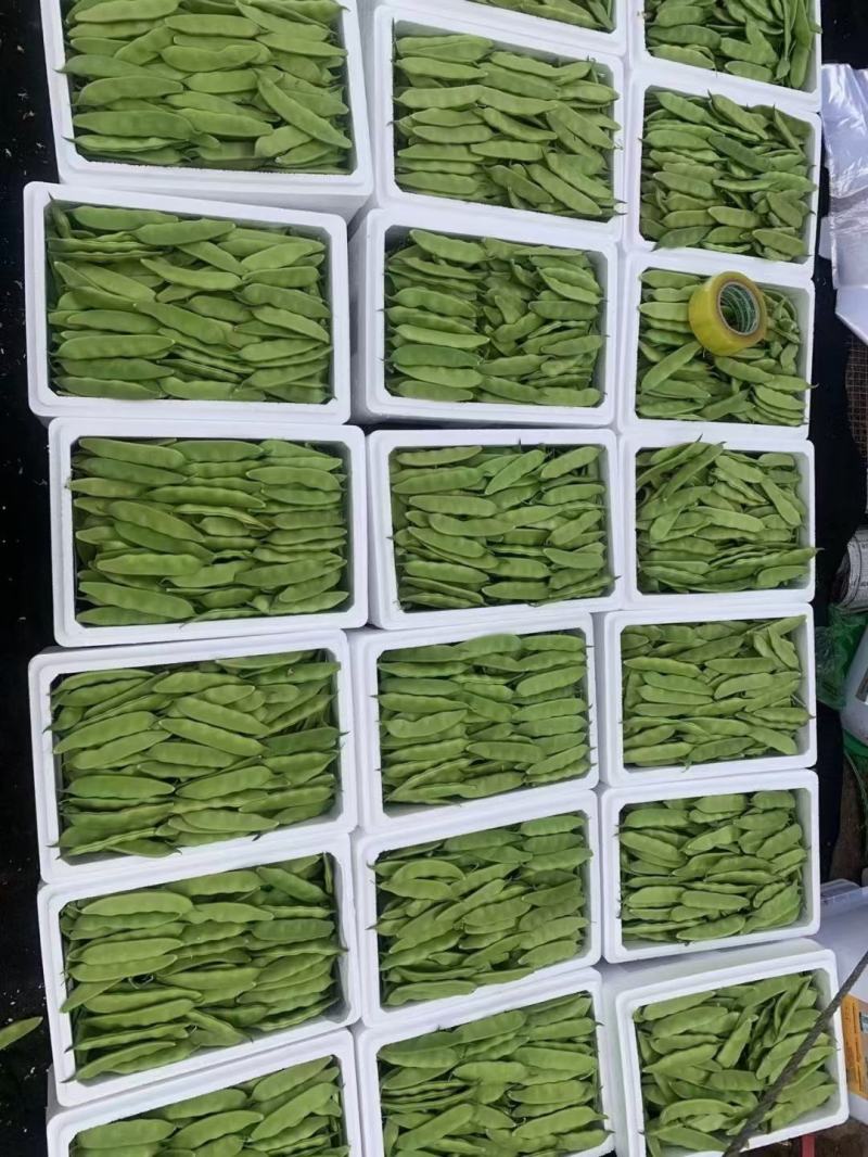 各种蔬菜，豆类，叶菜