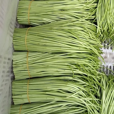 大量现货