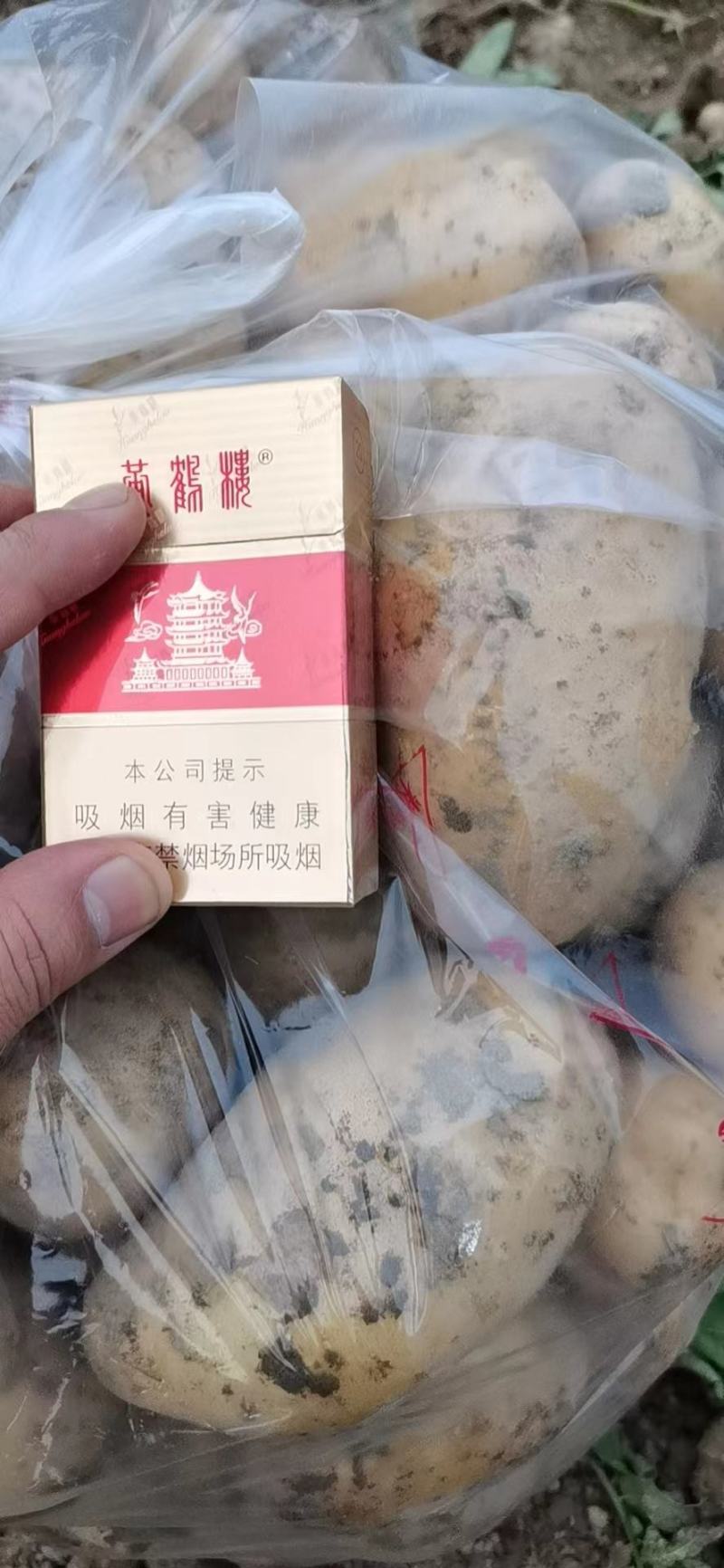 【荐】黄心土豆土豆马铃薯保质保量一手货源价格低