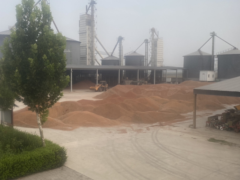 河北衡水阜城红高梁冀酿二号净梁袋装可视频欢迎前来电话订购