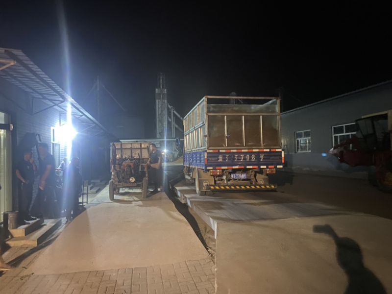 河北衡水阜城红高梁冀酿二号净梁袋装可视频欢迎前来电话订购