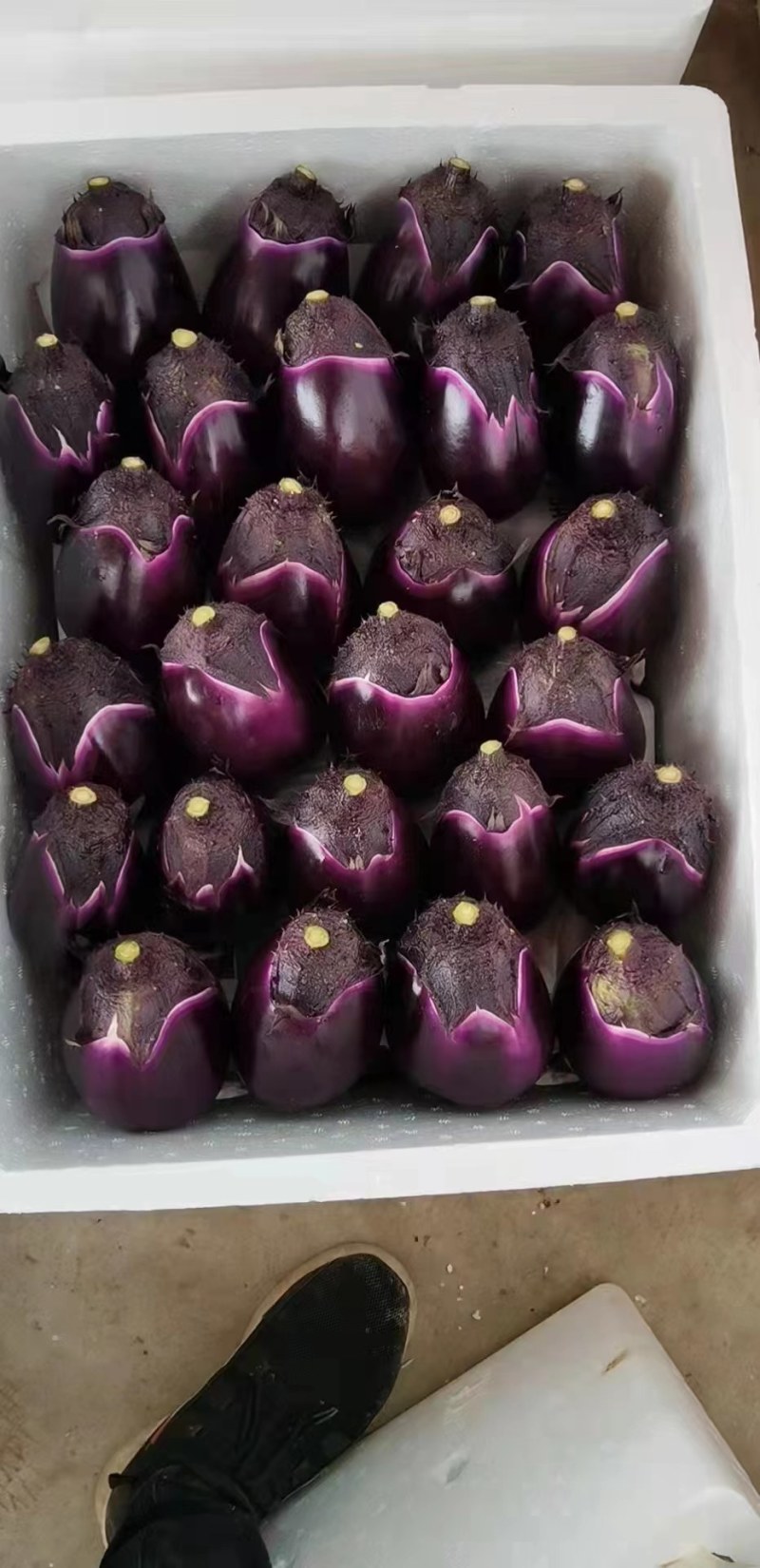 茄子干