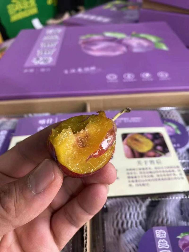 新疆阿力麻里优质西梅新鲜当季水果法兰西梅牛商推荐全国包邮