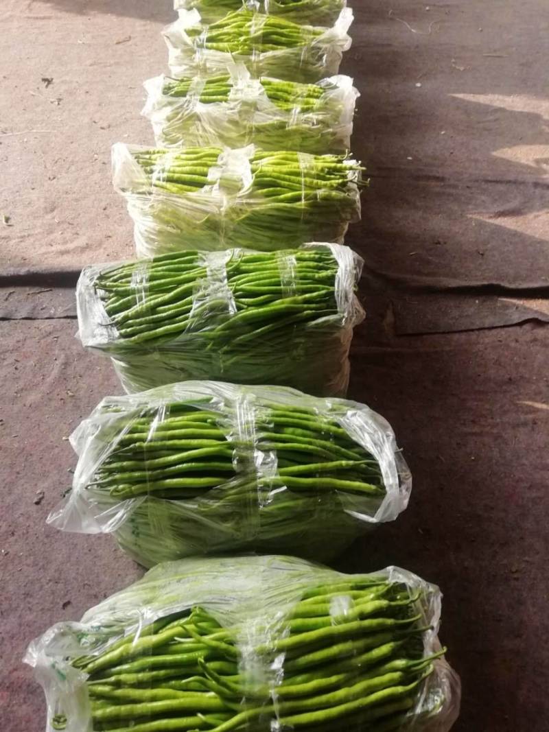精品线椒大量上市，产地直发量大欢迎新老客户前来采购！