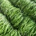 精品线椒大量上市，产地直发量大欢迎新老客户前来采购！