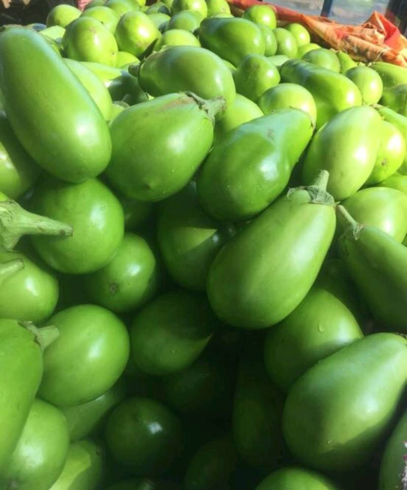 精品青茄大量上市，欢迎新老客户前来！质优价廉
