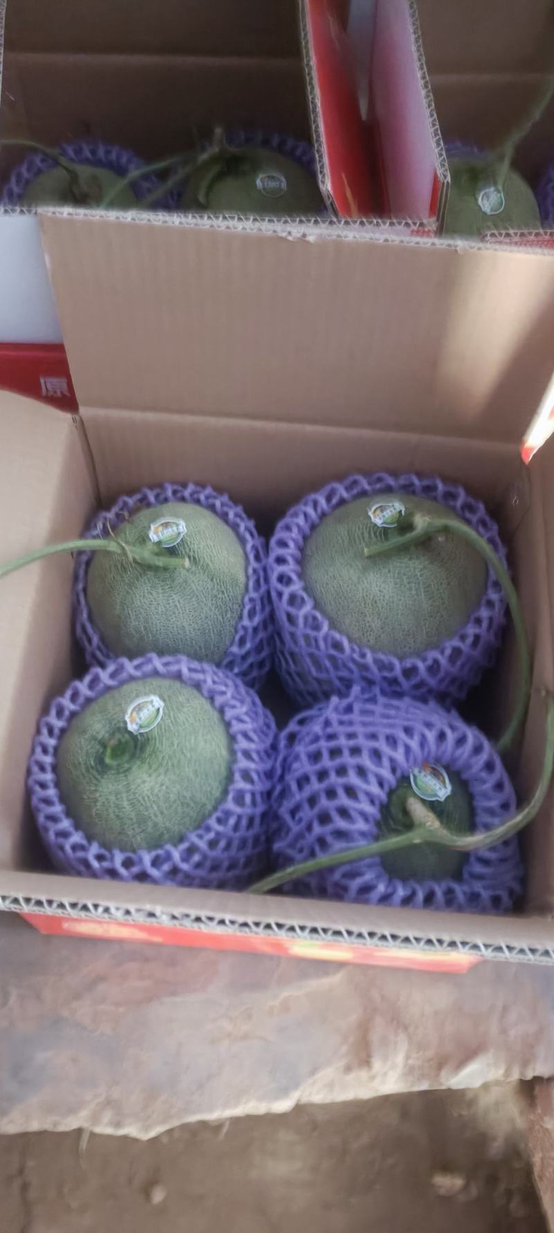 玫珑脆蜜