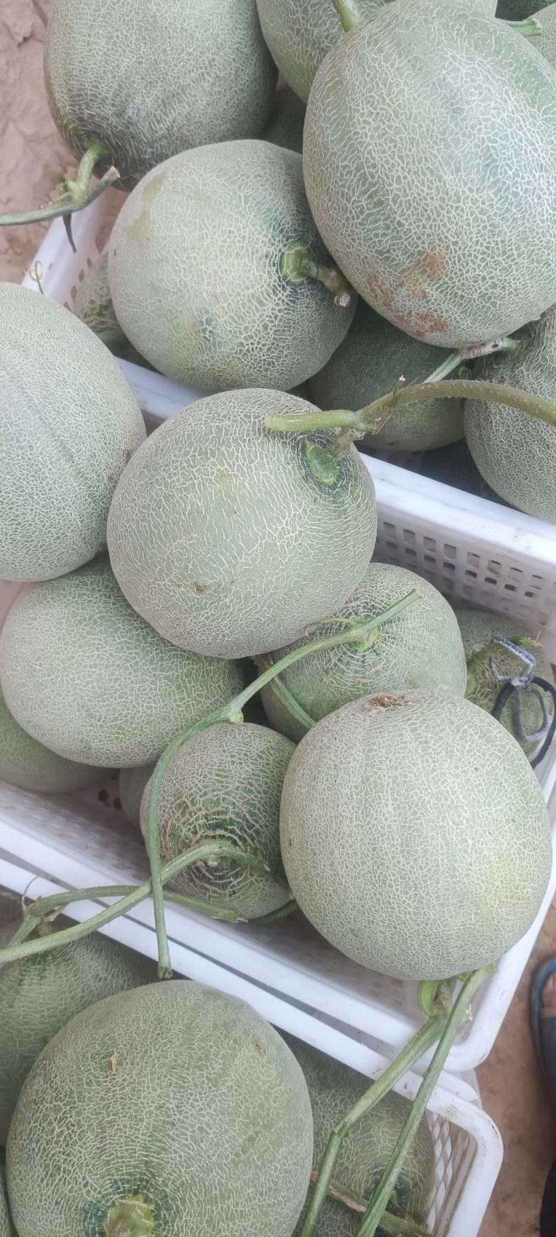 玫珑脆蜜