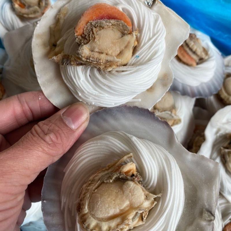 蒜蓉粉丝扇贝真空包装六只装/袋鲜冻蒜蓉粉丝扇贝
