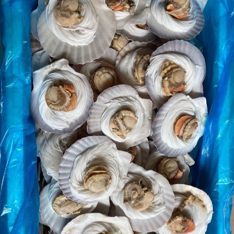 蒜蓉粉丝扇贝真空包装六只装/袋鲜冻蒜蓉粉丝扇贝