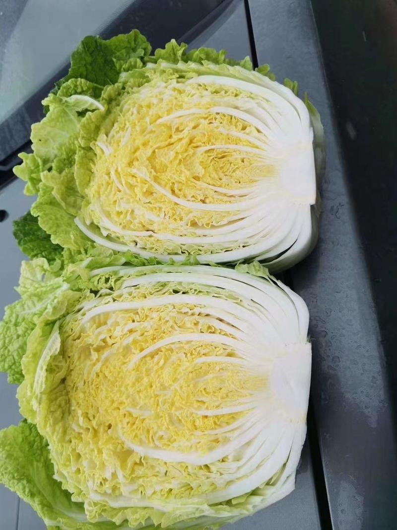 【白菜】湖北黄心大白菜产地上市价格低欢迎咨询，可视频看货