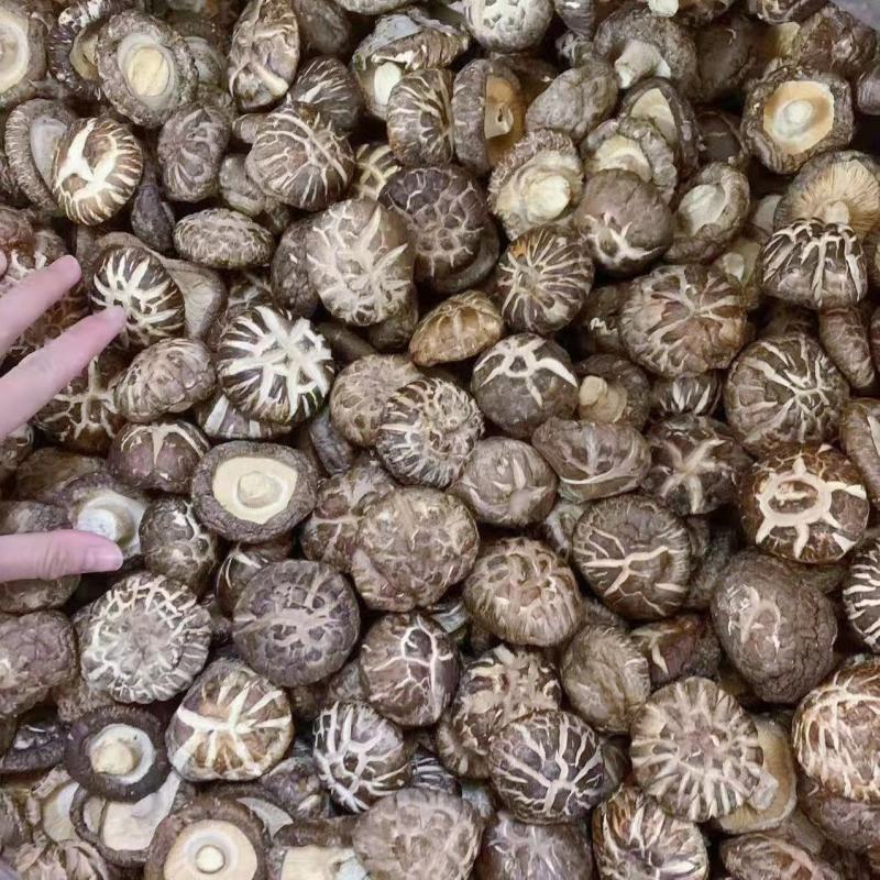 湖北干花菇，产地发货，量大从优，欢迎客商来选购