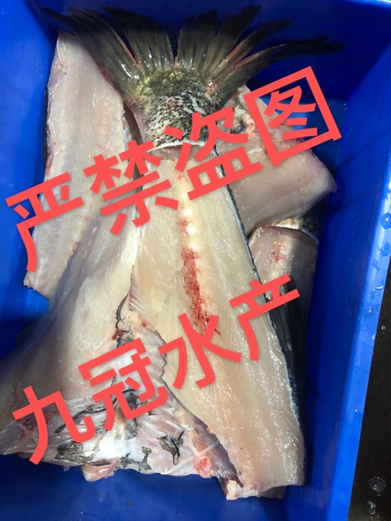 鱼头-鱼尾-鱼泡