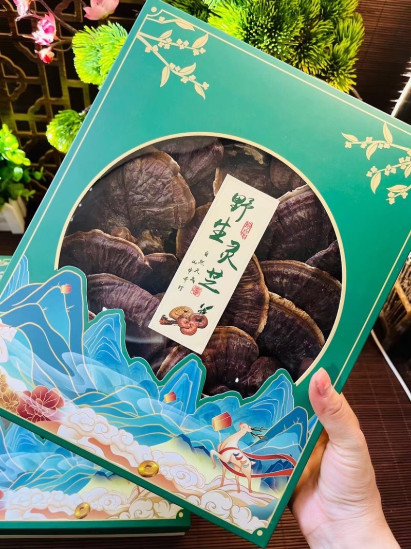 批发品质长白山金边赤灵芝，天花板灵芝孢子粉，每盒300克