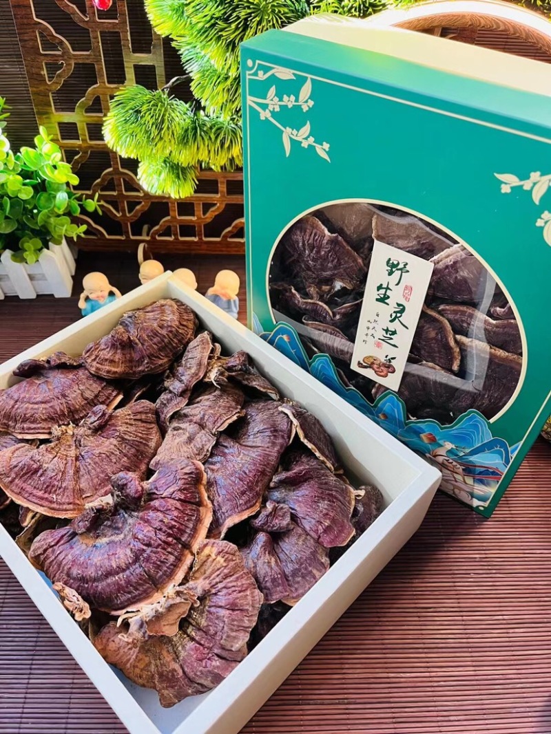 批发品质长白山金边赤灵芝，天花板灵芝孢子粉，每盒300克