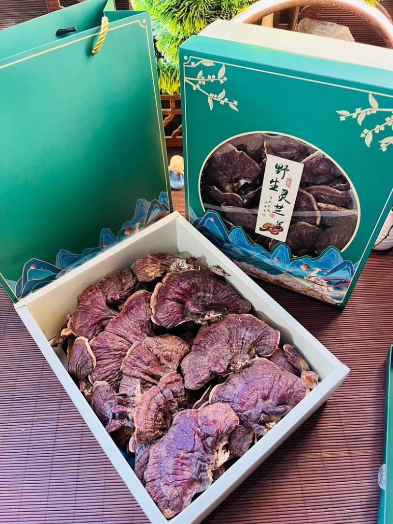 批发品质长白山金边赤灵芝，天花板灵芝孢子粉，每盒300克