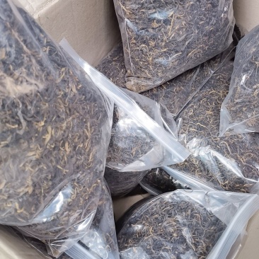 普洱古树茶