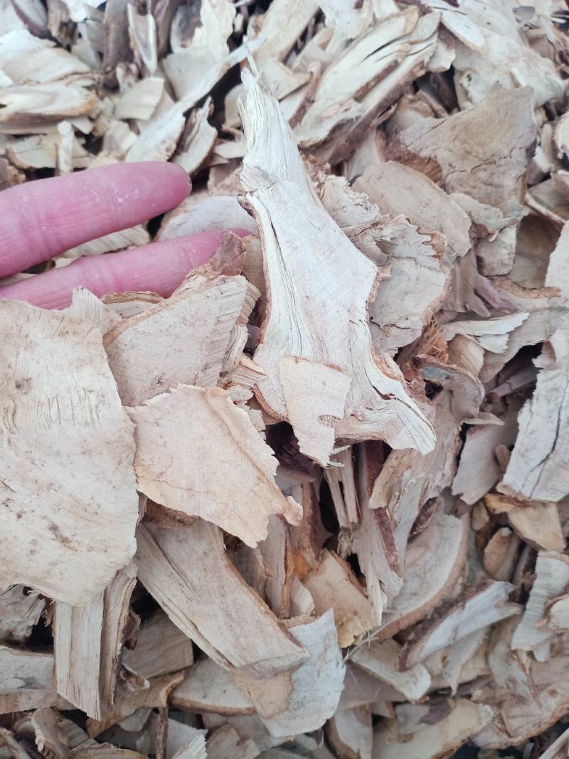 刺五加，刺五加片干净无杂质量保证欢迎选购量大从优！
