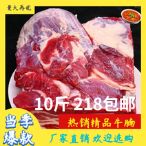 【包邮-5斤原切牛腩】热销5斤10斤原切牛腩肉