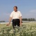 久星5号:韭菜种子，直立粗壮，抗倒伏叶片肥厚，抗病虫害