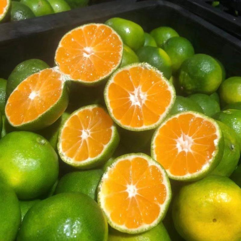 【热烈推荐】湖北秭归蜜橘特早新鲜上市货源充足代发全国