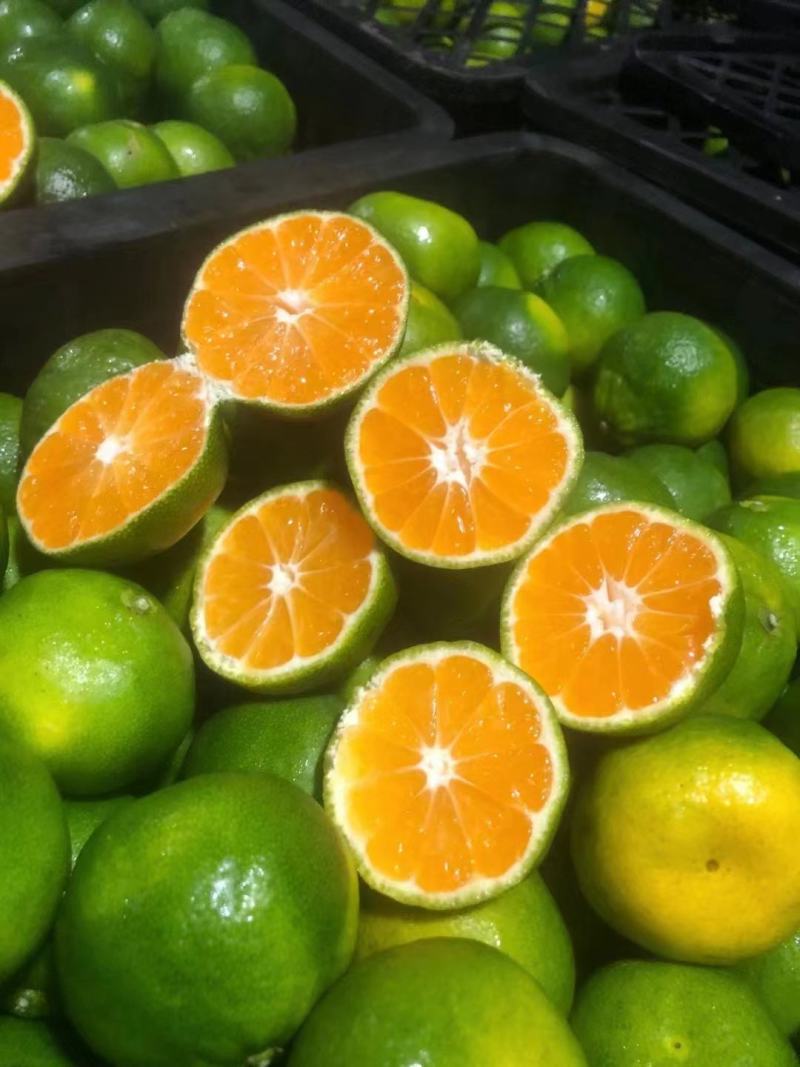 【热烈推荐】湖北秭归蜜橘特早新鲜上市货源充足代发全国