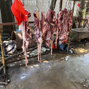 山东驴肉